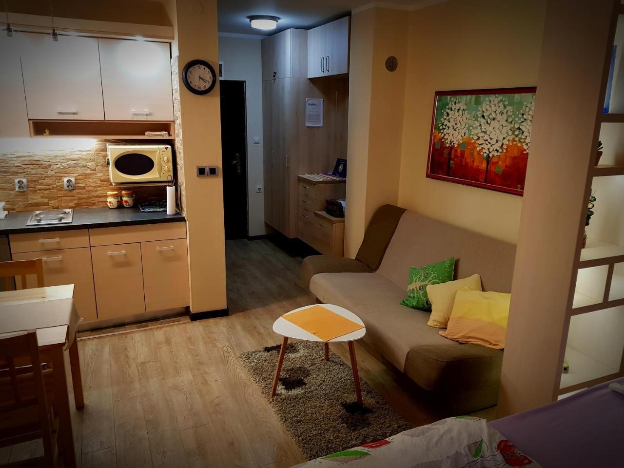 Dijamant Apartment Banja Koviljaca Bagian luar foto